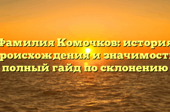 Фамилия Комочков: история происхождения и значимость, полный гайд по склонению