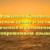 Фамилия Коневич: происхождение и история, значения и склонение в современном языке