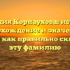 Фамилия Корнаухова: история, происхождение и значение, а также как правильно склонять эту фамилию