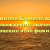 Фамилия Корнели: всё о происхождении, значении и склонении этой фамилии