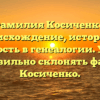 Фамилия Косиченко: происхождение, история и значимость в генеалогии. Узнайте, как правильно склонять фамилию Косиченко.