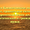Фамилия Космические: история и значение, правильное склонение и происхождение для генеалогических и гражданских нужд