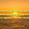 Фамилия Кострица: история, происхождение и значимость, узнайте правильное склонение