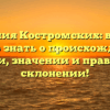 Фамилия Костромских: все, что нужно знать о происхождении, истории, значении и правильном склонении!