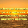 Фамилия Котеев: происхождение, история и значения, как правильно склонять фамилию для каждого падежа