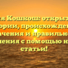 Фамилия Кошкош: открытие тайн истории, происхождения, значения и правильного склонения с помощью нашей статьи!