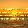 Фамилия Крупкин — история происхождения, значения и правильное склонение в современном языке