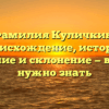 Фамилия Куличкин: происхождение, история, значение и склонение — все, что нужно знать