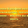 Фамилия Кунафин: история, происхождение, значение и склонение — все, что вы хотели знать