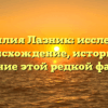 Фамилия Лазник: исследуем происхождение, историю и склонение этой редкой фамилии