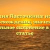 Фамилия Ласточкина: история происхождения, значение и правильное склонение в одной статье