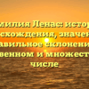 Фамилия Ленас: история происхождения, значения и правильное склонение в единственном и множественном числе