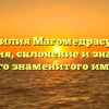 Фамилия Магомедрасулов: история, склонение и значение этого знаменитого имени