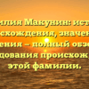 Фамилия Макунин: история происхождения, значения и склонения — полный обзор для исследования происхождения этой фамилии.