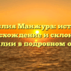 Фамилия Манжура: история, происхождение и склонение фамилии в подробном обзоре