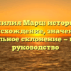 Фамилия Марц: история и происхождение, значение и правильное склонение — полное руководство