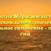 Фамилия Мержоев: история происхождения, значение и правильное склонение – полный гид
