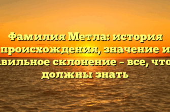 Фамилия Метла: история происхождения, значение и правильное склонение – все, что вы должны знать