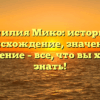Фамилия Мико: история и происхождение, значение и склонение – все, что вы хотели знать!