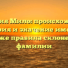 Фамилия Мило: происхождение, история и значение имени, а также правила склонения фамилии