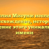 Фамилия Мисуно: исследуем происхождение, историю и значение этого уникального имени