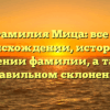 Фамилия Мица: все о происхождении, истории и значении фамилии, а также правильном склонении
