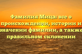 Фамилия Мица: все о происхождении, истории и значении фамилии, а также правильном склонении
