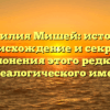 Фамилия Мишей: история, происхождение и секреты склонения этого редкого генеалогического имени