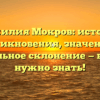 Фамилия Мокров: история возникновения, значение и правильное склонение — всё, что нужно знать!