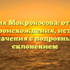 Фамилия Мокроносова: открытие тайн происхождения, истории и значения с подробным склонением