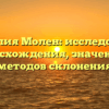 Фамилия Молен: исследование происхождения, значений и методов склонения