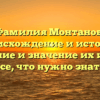 Фамилия Монтанов: происхождение и история, склонение и значение их имени — все, что нужно знать