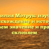 Фамилия Мотрук: изучаем происхождение и историю, понимаем значение и правильно склоняем