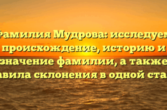 Фамилия Мудрова: исследуем происхождение, историю и значение фамилии, а также правила склонения в одной статье