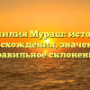Фамилия Мураш: история происхождения, значение и правильное склонение