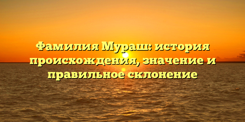 Фамилия Мураш: история происхождения, значение и правильное склонение