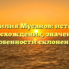 Фамилия Мусанов: история происхождения, значения и особенности склонения