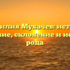 Фамилия Мухачев: истоки, значение, склонение и история рода