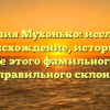 Фамилия Мухонько: исследуем происхождение, историю и значение этого фамильного имени для правильного склонения