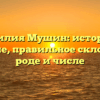 Фамилия Мушин: история и значение, правильное склонение в роде и числе