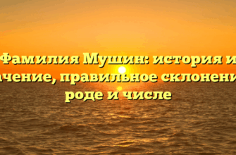 Фамилия Мушин: история и значение, правильное склонение в роде и числе