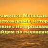Фамилия Мяльдзин: происхождение, история и значение с исчерпывающим гайдом по склонению