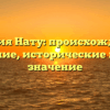 Фамилия Нату: происхождение и склонение, исторические корни и значение