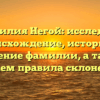 Фамилия Негой: исследуем происхождение, историю и значение фамилии, а также узнаем правила склонения