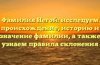 Фамилия Негой: исследуем происхождение, историю и значение фамилии, а также узнаем правила склонения