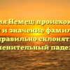 Фамилия Немец: происхождение, история и значение фамилии. Как правильно склонять именительный падеж?