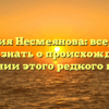 Фамилия Несмеянова: все, что вы хотели знать о происхождении и значении этого редкого имени
