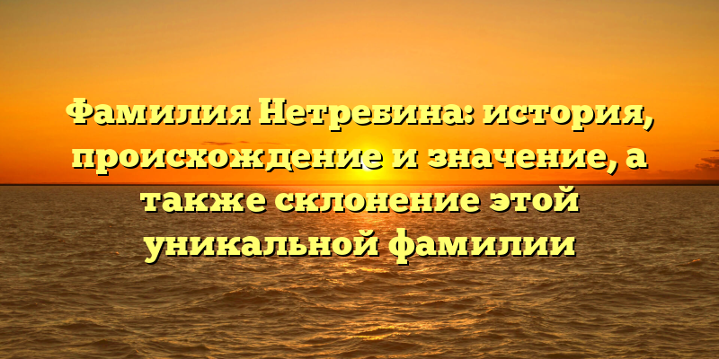 Фамилия Нетребина: история, происхождение и значение, а также склонение этой уникальной фамилии