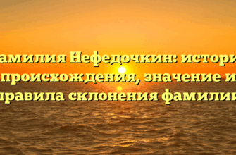 Фамилия Нефедочкин: история происхождения, значение и правила склонения фамилии