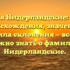 Фамилия Нидерландские: история происхождения, значение и правила склонения — все, что нужно знать о фамилии Нидерландские.